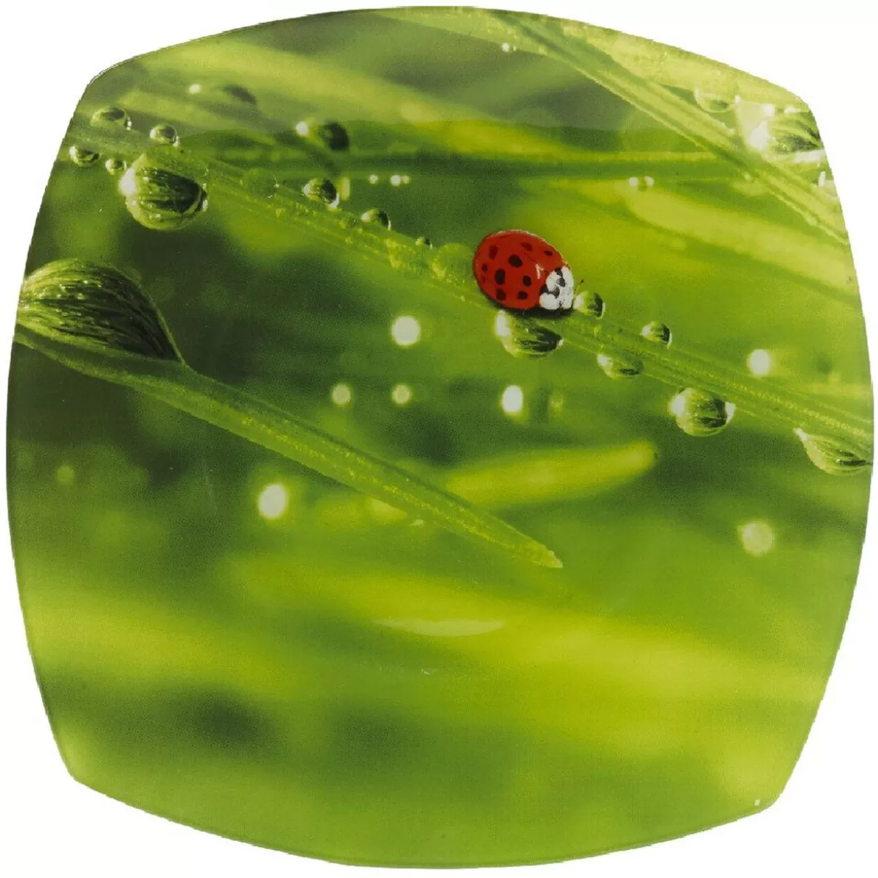 Assiette plate carrée verte design coccinelle>Gifi Online