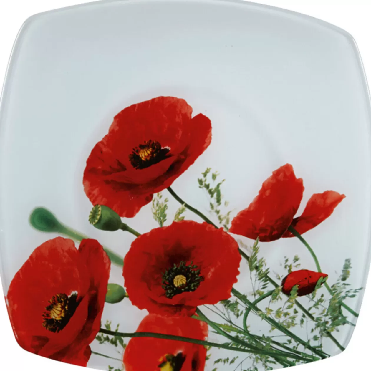 Assiette plate design coquelicot>Gifi Online