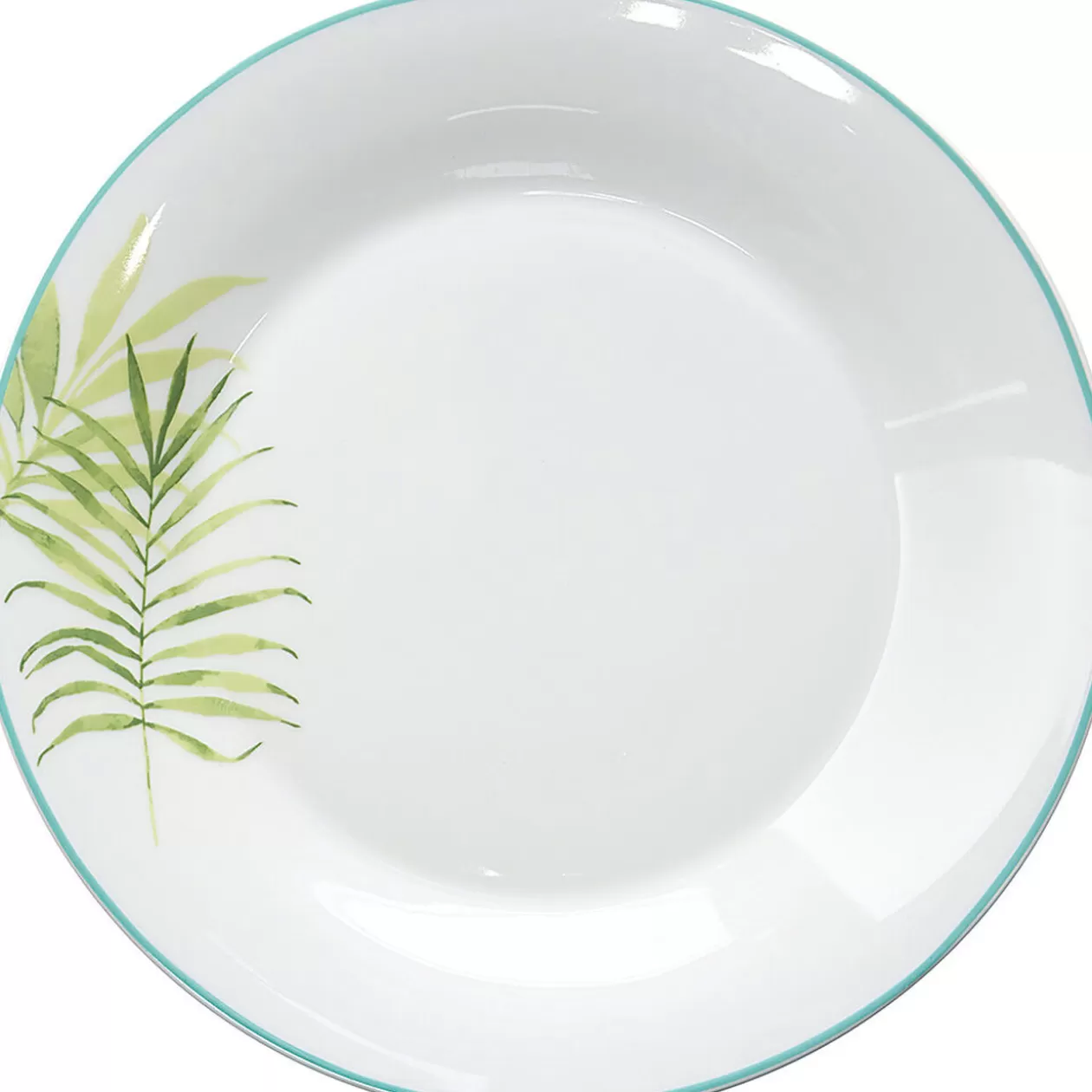Assiette porcelaine motif jungle>Gifi Outlet