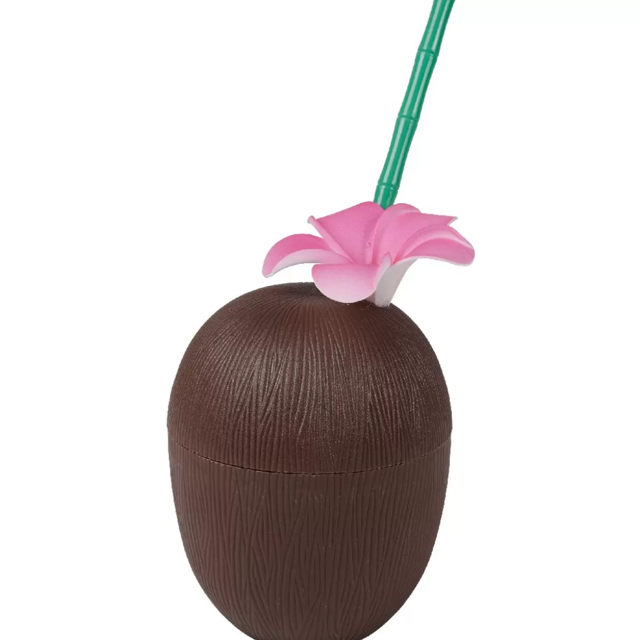 Gourde plastique et paille noix de coco>Gifi Online